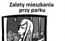 Mieszkanie przy parku