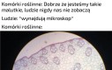 Tego nie przewidziały