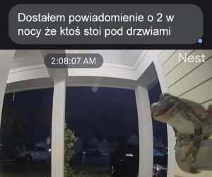 Witam