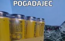 Pogadajec