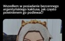 Mityczny