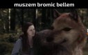 Lul
