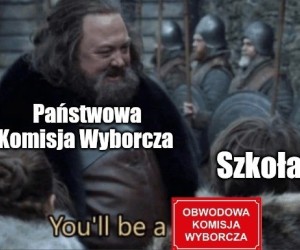 Udanych wyborów życzę