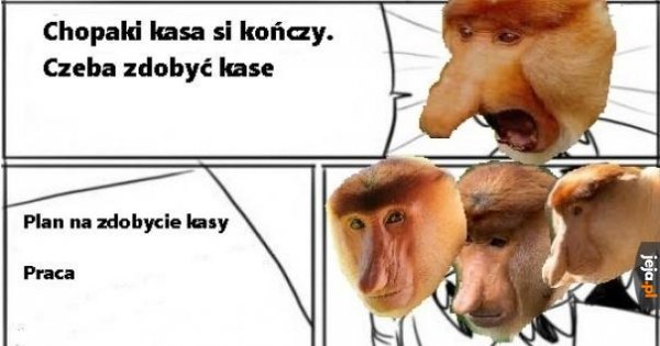 I tak nie ma pracy dla ludzi z ich wykształceniem - Jeja.pl