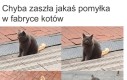 Podmianka części