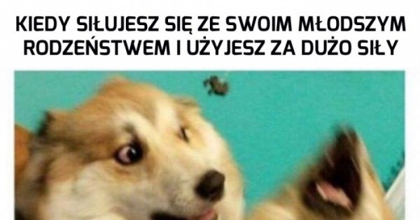 Tylko nie mów mamie... - Jeja.pl