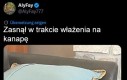 No zmęczył się