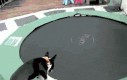 Pies pokochał nową trampolinę