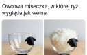 Najwspanialszy spośród przedmiotów