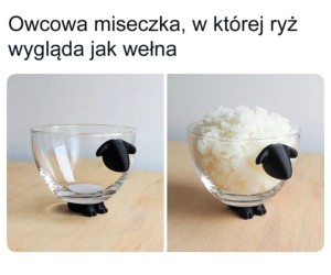 Najwspanialszy spośród przedmiotów