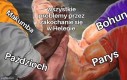 Pełna zgoda