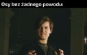 A ŻĄDŁEM CHCESZ?!