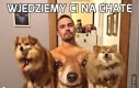 Wjedziemy Ci na chatę