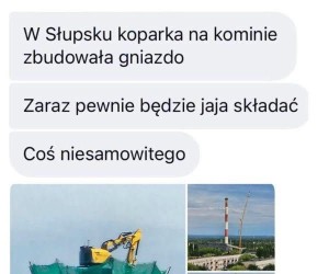 Wzruszyłem się