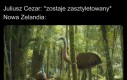 Wieści jeszcze długo nie będą tam docierać