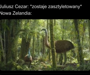 Wieści jeszcze długo nie będą tam docierać