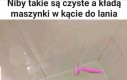 Daje do myślenia