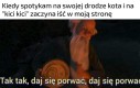 Zaufanie zdobyte