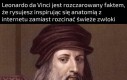 Sztuka bez kontaktu z naturą