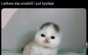 Tego to mi żal