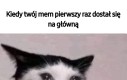 Wdzięczna jestem