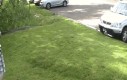 Ruchomy trawnik