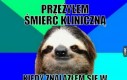 Śmierć kliniczna