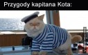 Przygody kapitana kota