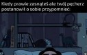 Niech to