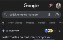 Na mym pogrzebie będą frytki