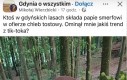 Tylko dzięki temu mega wulkany pod Polską nie wybuchają