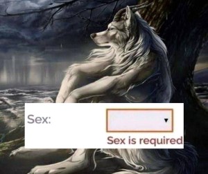 No i co teraz?