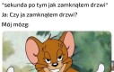 Zawsze