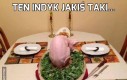 Ten indyk jakiś taki...