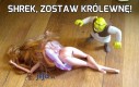 Shrek, zostaw królewnę!