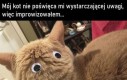 Powinno pomóc