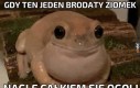 Toż to szok