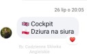 Polacy nie gęsi