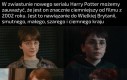 To wszystko przez to że Dumbledorea nie gra Idris Elba 😭