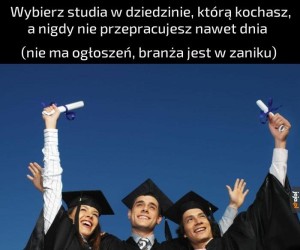 Studia, które kochasz