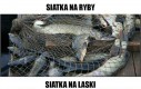 Rodzaje siatek
