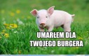 A ty wydałeś tylko 15 zł