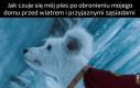 Moja bohaterka