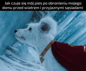 Moja bohaterka