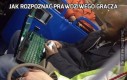 Jak rozpoznać prawdziwego gracza