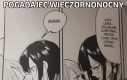 Pogadajec wieczornonocny