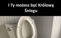 Tron już jest