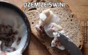 Dżem ze świni