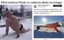 Peak polityki