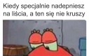 Podziękuję za taką jesień